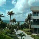 Palm trees and beach at the Hilton Tulum Riviera Maya
