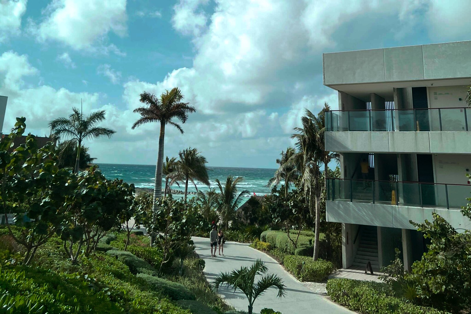 Palm trees and beach at the Hilton Tulum Riviera Maya